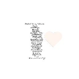 Shoutout to my followers !