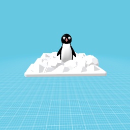 Cute lil penguin