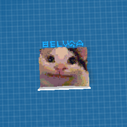 it beluga the meme cat