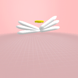 Angel wings