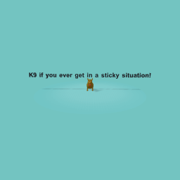 K9