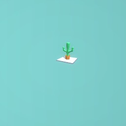 Big Cactus 