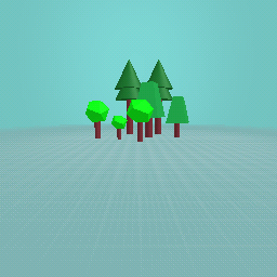 my forest