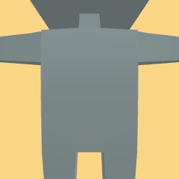 new costume