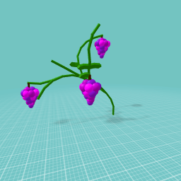 Grape Grow a Garden