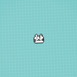Half grey and white cat