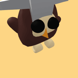 ||Ride owl||