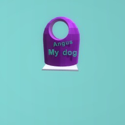 Pet tag for Angus my dog