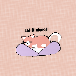 LET THE CAT SLEEP!