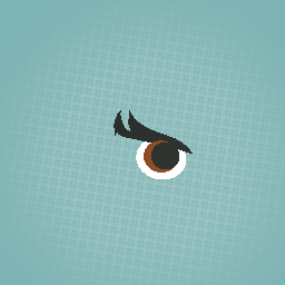 Eye-