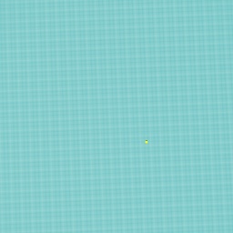 U A E
