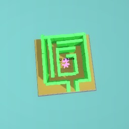Tricky maze