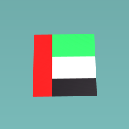 U.A.E  flag