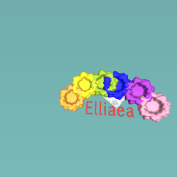 Flowers of Elliaea