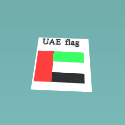 UAE FLAG