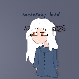 secretary bird as human