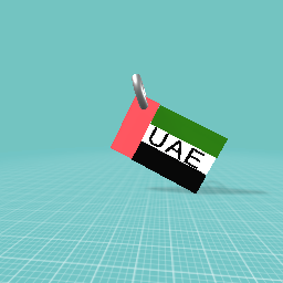 UAE key chain