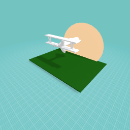 The wright brothers plane