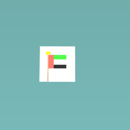 UAE flag