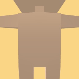new costume copy
