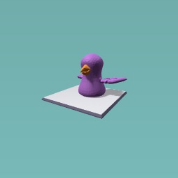 A bird