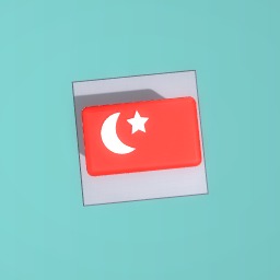 flag of Turkey
