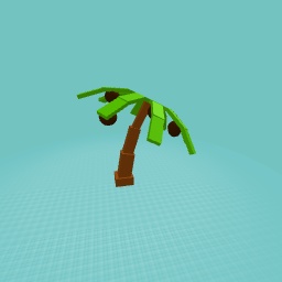 Grow a garden coconut tree