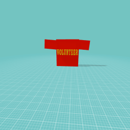 Hi-Viz volunteer shirt