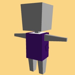 Hooded Vest with hooded shirt (ok)