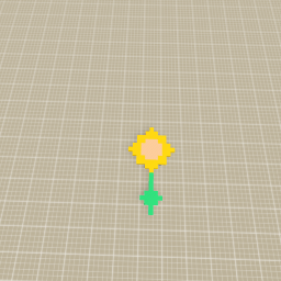 Sun-Flower
