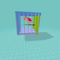 bird in a cage