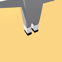 School shoes and socks