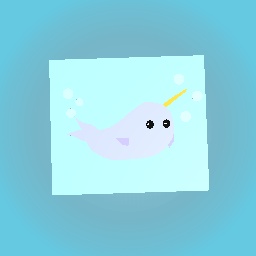 narwhal