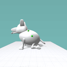 My perito with fleas