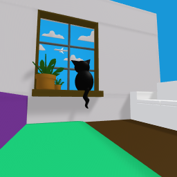 cat looking at the plane in the sky from the window