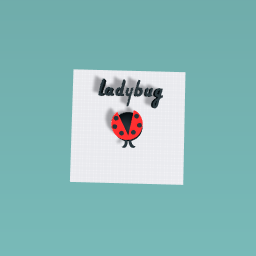 ladybug