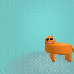 Orange cat