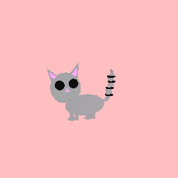 A little cat