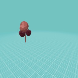 Acorn tree
