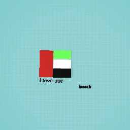 UAE FLAG