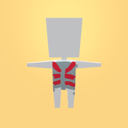 new costume