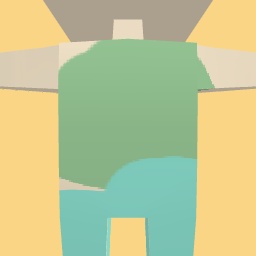 new costume