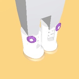 Stylish/Fancy Boots