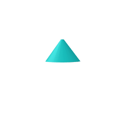 Party Hat