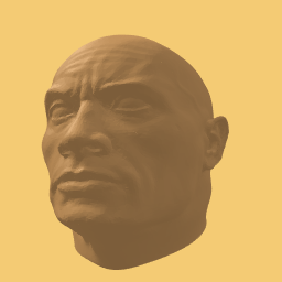 The rock