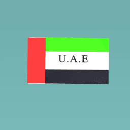 UAE flag