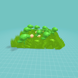 forest