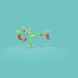 Pepper tree