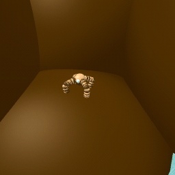 donut holey