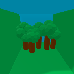 a forest